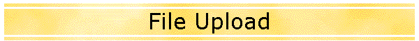 File Upload